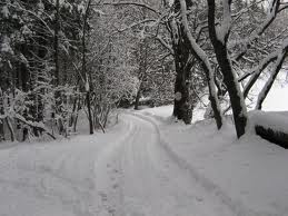 ora vi dico perché amo l'inverno