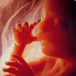 ciao mamma,sto per arrivare